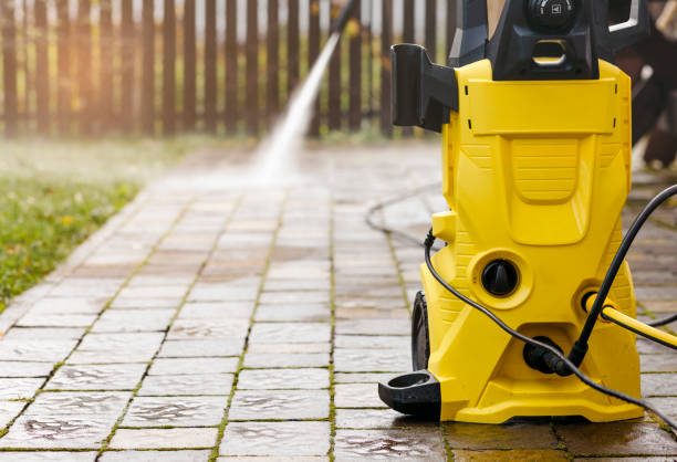 Animal Enclosure Cleaning in Maud, TX